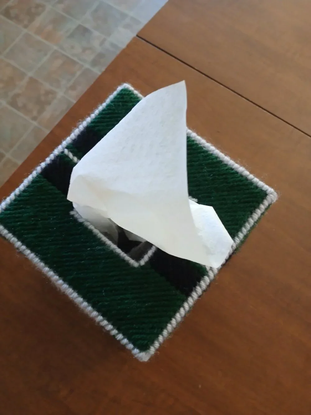 Philadelphia Eagles Handstitched Boutique Tissue Box Cover Gift